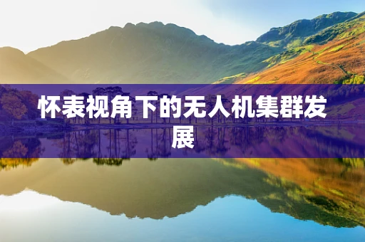 怀表视角下的无人机集群发展