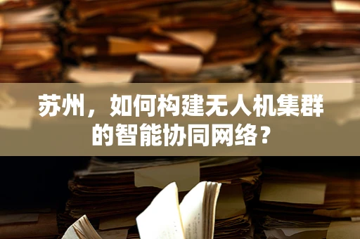 苏州，如何构建无人机集群的智能协同网络？