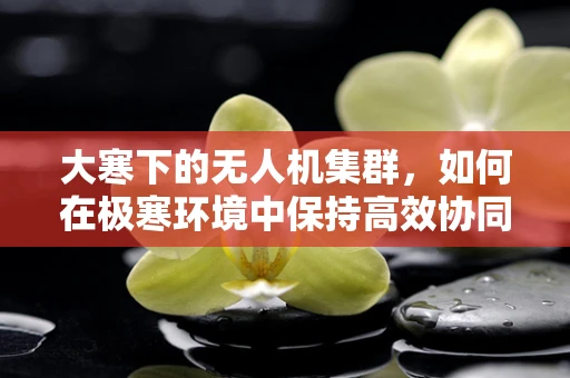大寒下的无人机集群，如何在极寒环境中保持高效协同？