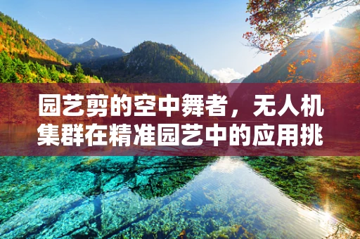 园艺剪的空中舞者，无人机集群在精准园艺中的应用挑战