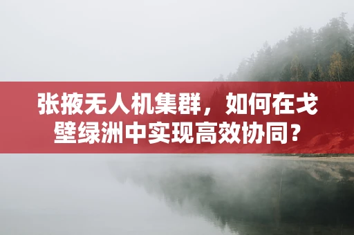 张掖无人机集群，如何在戈壁绿洲中实现高效协同？
