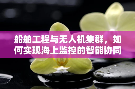 船舶工程与无人机集群，如何实现海上监控的智能协同？