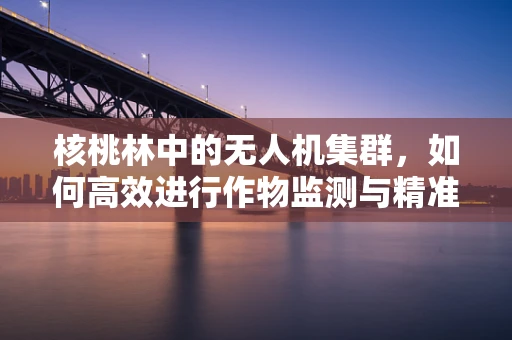 核桃林中的无人机集群，如何高效进行作物监测与精准施肥？