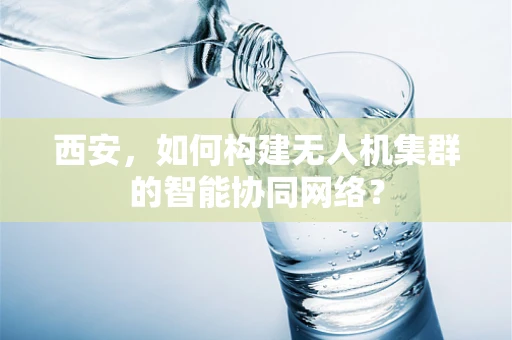 西安，如何构建无人机集群的智能协同网络？