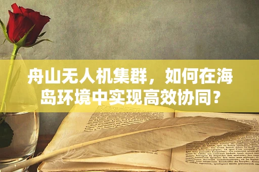 舟山无人机集群，如何在海岛环境中实现高效协同？