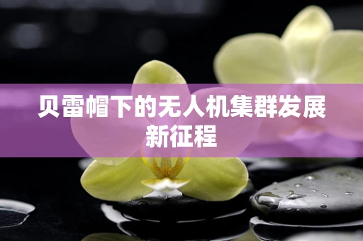贝雷帽下的无人机集群发展新征程