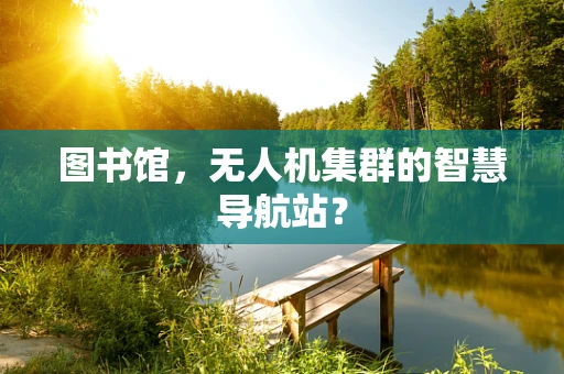 图书馆，无人机集群的智慧导航站？