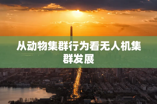 从动物集群行为看无人机集群发展