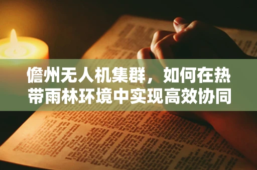 儋州无人机集群，如何在热带雨林环境中实现高效协同？