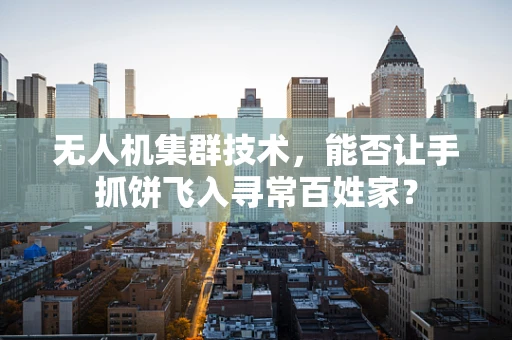 无人机集群技术，能否让手抓饼飞入寻常百姓家？