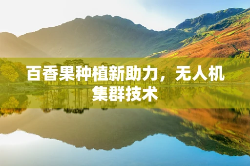百香果种植新助力，无人机集群技术