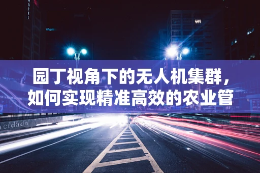 园丁视角下的无人机集群，如何实现精准高效的农业管理？
