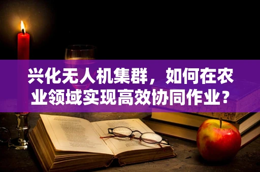 兴化无人机集群，如何在农业领域实现高效协同作业？