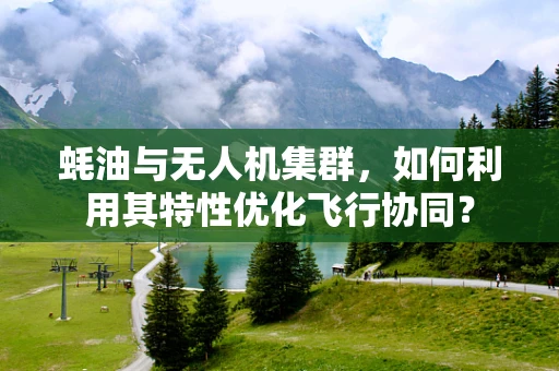 蚝油与无人机集群，如何利用其特性优化飞行协同？
