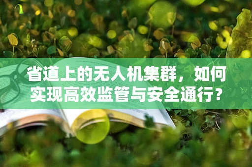 省道上的无人机集群，如何实现高效监管与安全通行？
