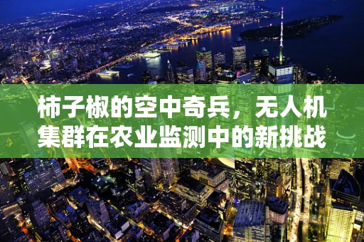 柿子椒的空中奇兵，无人机集群在农业监测中的新挑战？