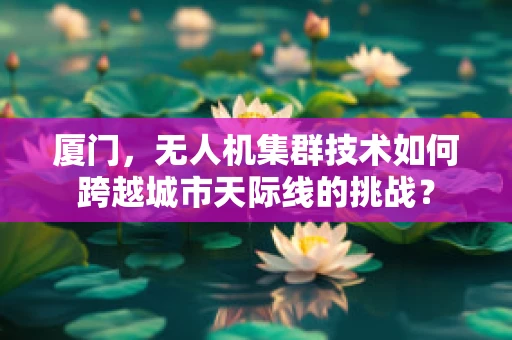 厦门，无人机集群技术如何跨越城市天际线的挑战？