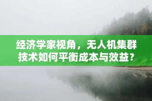 经济学家视角，无人机集群技术如何平衡成本与效益？