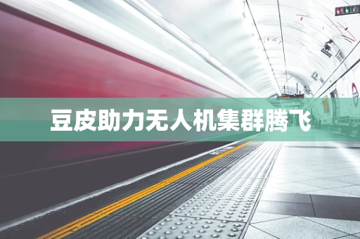 豆皮助力无人机集群腾飞
