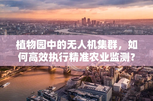 植物园中的无人机集群，如何高效执行精准农业监测？