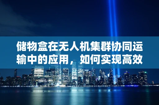储物盒在无人机集群协同运输中的应用，如何实现高效、安全的货物管理？