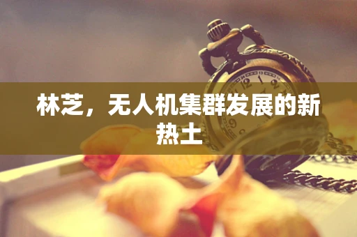 林芝，无人机集群发展的新热土
