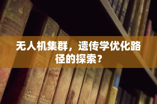 无人机集群，遗传学优化路径的探索？