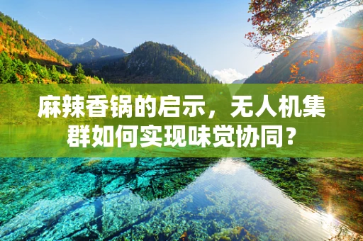麻辣香锅的启示，无人机集群如何实现味觉协同？