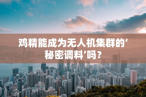 鸡精能成为无人机集群的‘秘密调料’吗？