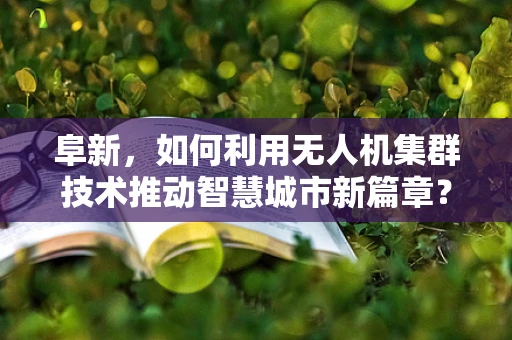 阜新，如何利用无人机集群技术推动智慧城市新篇章？