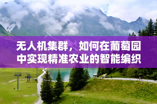 无人机集群，如何在葡萄园中实现精准农业的智能编织？