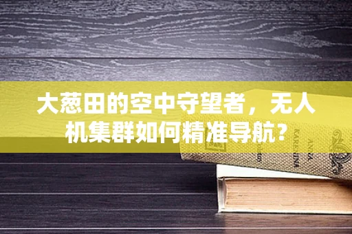 大葱田的空中守望者，无人机集群如何精准导航？