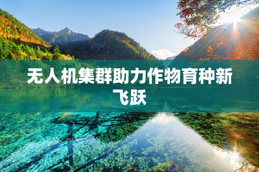 无人机集群助力作物育种新飞跃