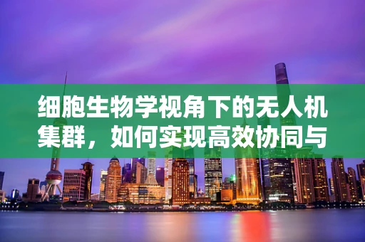 细胞生物学视角下的无人机集群，如何实现高效协同与自我组织？
