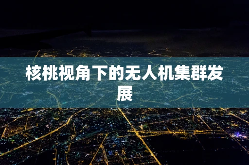 核桃视角下的无人机集群发展