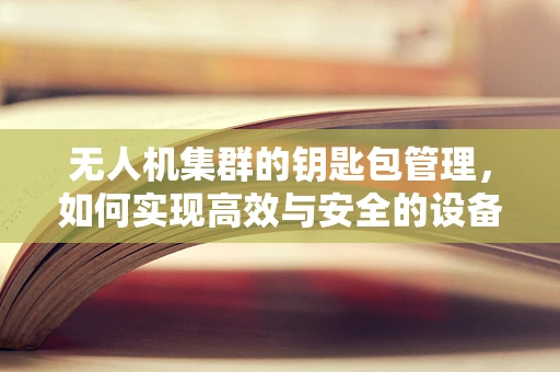 无人机集群的钥匙包管理，如何实现高效与安全的设备携带与分发？