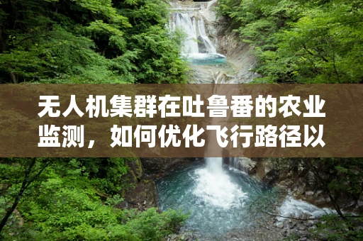 无人机集群在吐鲁番的农业监测，如何优化飞行路径以提升效率？