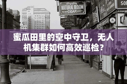 蜜瓜田里的空中守卫，无人机集群如何高效巡检？