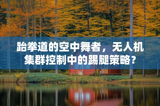 跆拳道的空中舞者，无人机集群控制中的踢腿策略？