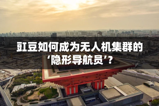 豇豆如何成为无人机集群的‘隐形导航员’？