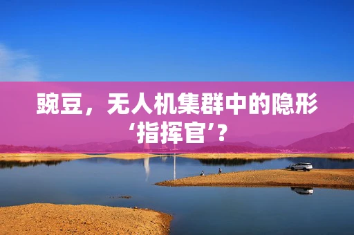 豌豆，无人机集群中的隐形‘指挥官’？