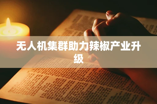 无人机集群助力辣椒产业升级