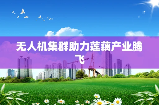 无人机集群助力莲藕产业腾飞