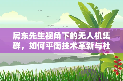 房东先生视角下的无人机集群，如何平衡技术革新与社区安宁？