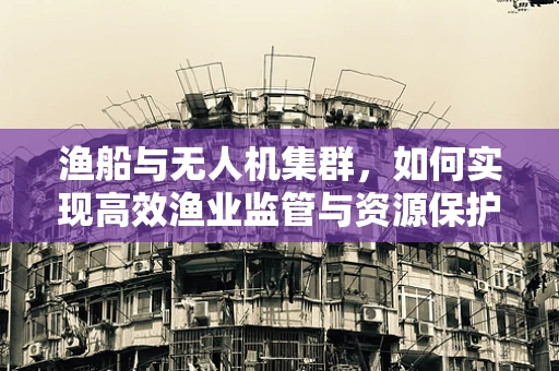 渔船与无人机集群，如何实现高效渔业监管与资源保护？