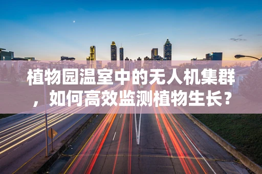 植物园温室中的无人机集群，如何高效监测植物生长？