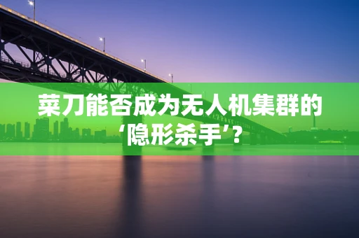 菜刀能否成为无人机集群的‘隐形杀手’？