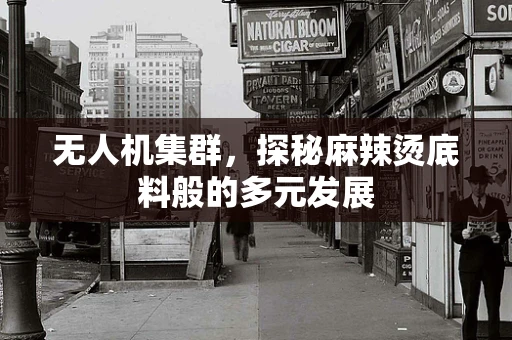 无人机集群，探秘麻辣烫底料般的多元发展