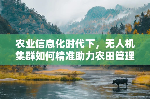 农业信息化时代下，无人机集群如何精准助力农田管理？