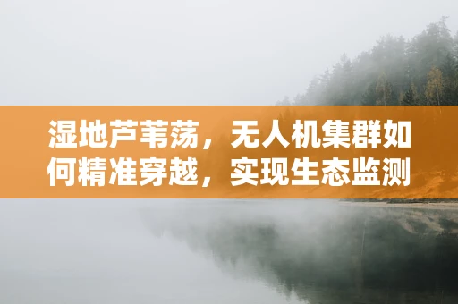 湿地芦苇荡，无人机集群如何精准穿越，实现生态监测与保护？